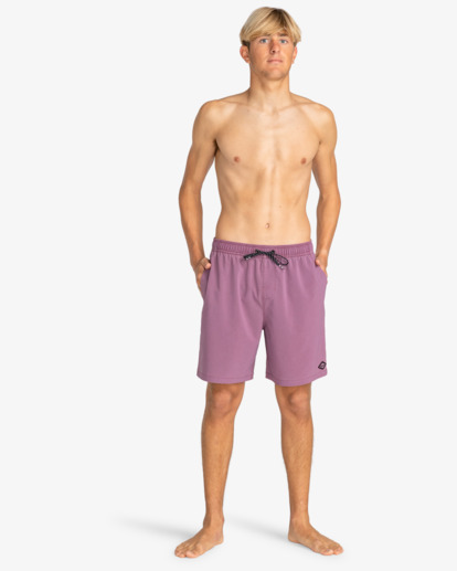 Wasted Times Layback 18.5" - Swim Shorts for Men  EBYJV00126