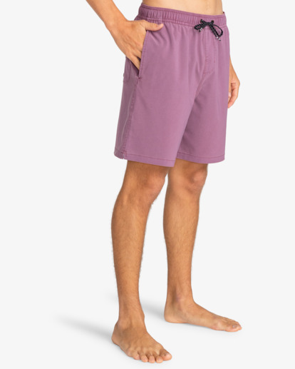 Wasted Times Layback 18.5" - Swim Shorts for Men  EBYJV00126