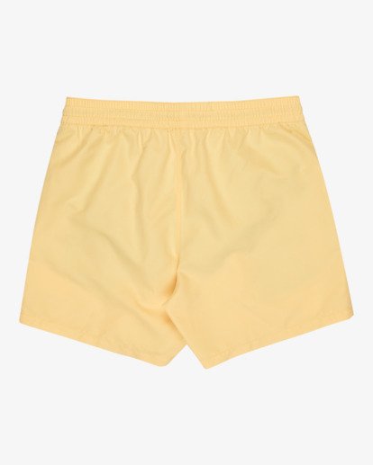 All Day 16" - Layback Swim Shorts for Men  EBYJV00134