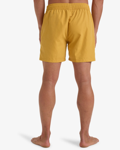 All Day Layback 16" - Swim Shorts for Men  EBYJV00134