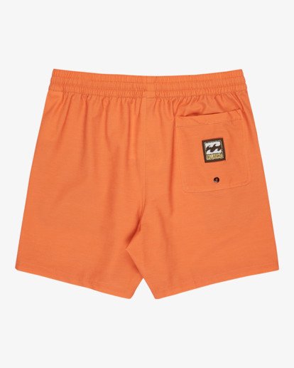 Every Other Day 17"- Layback Swim Shorts for Men  EBYJV00145