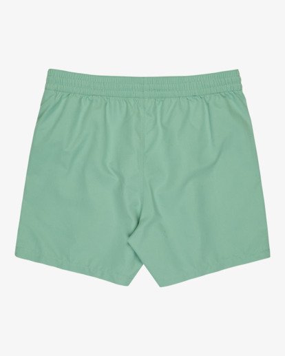 Foundation Layback - Swim Shorts for Men  EBYJV00162