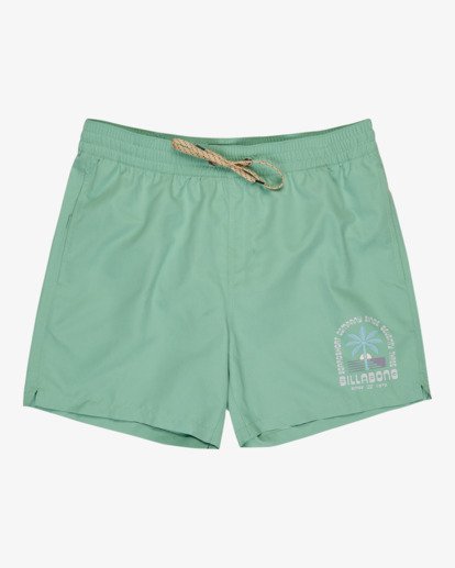 Foundation Layback - Swim Shorts for Men  EBYJV00162