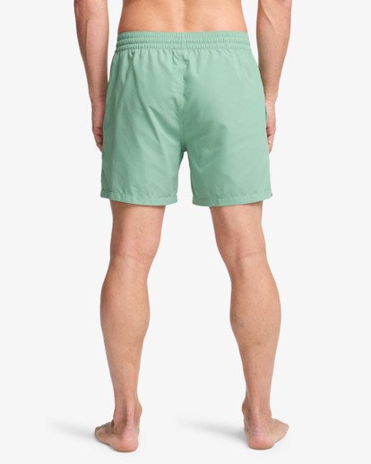 Foundation Layback - Swim Shorts for Men  EBYJV00162