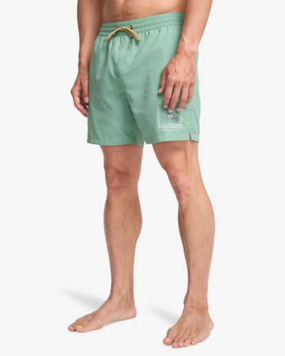 Foundation Layback - Swim Shorts for Men  EBYJV00162