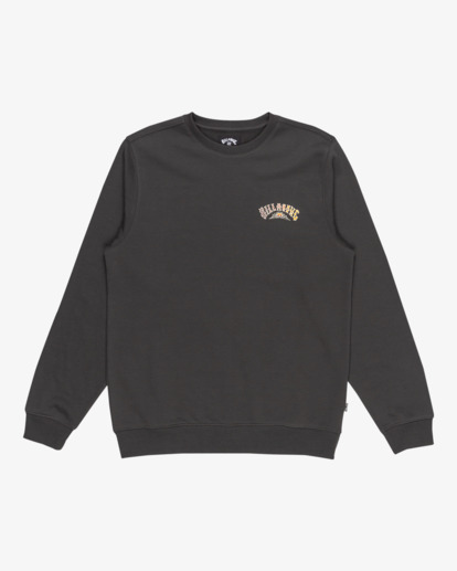 Foundation Cr - Pullover Sweatshirt for Men  EBYSF00162