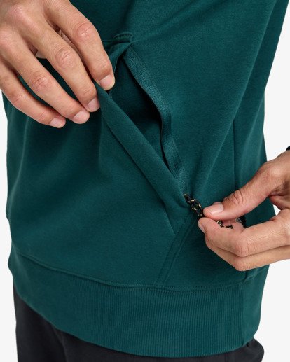 billabong, Compass Po - Sweatshirt for Men, PINE (gtp0) Compass Po - Sweatshirt for Men  EBYSF00173
