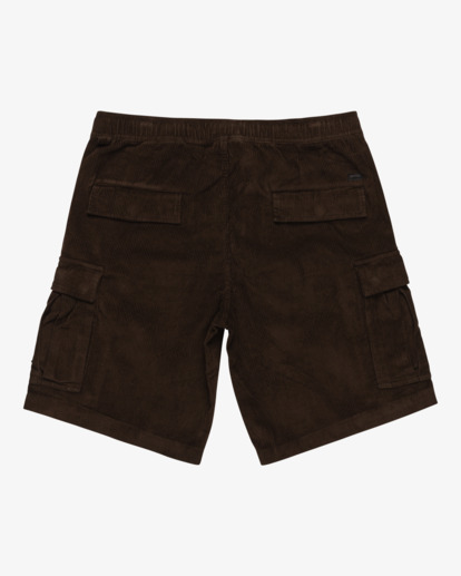 Larry Cord 20" - Cargo Walk Shorts for Men  EBYWS00108