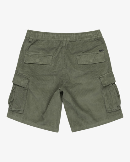 Larry Cord 20" - Cargo Walk Shorts for Men  EBYWS00108