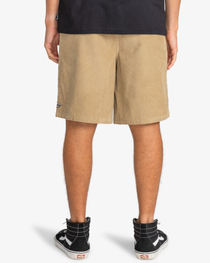 Larry Cord 20" - Corduroy Walk Shorts for Men  EBYWS00110