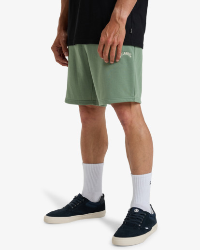 Arch 19" - Elastic Waist Walkshorts for Men  EBYWS00112