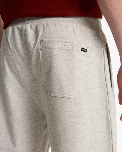 Arch 19" - Elastic Waist Walkshorts for Men  EBYWS00112