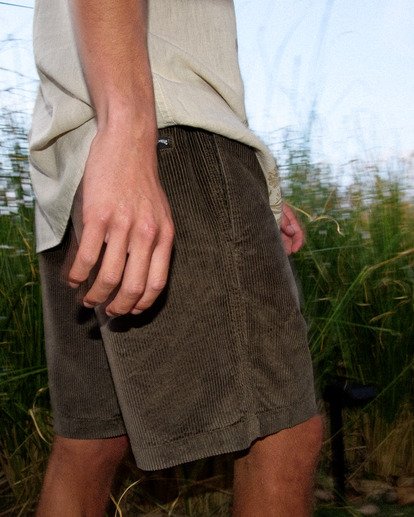 Larry 20" - Elastic Waist Walkshorts for Men  EBYWS00128