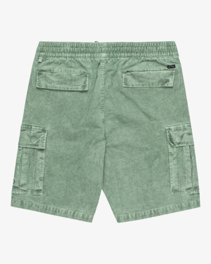 Larry 20" - Elastic Waist Walkshorts for Men  EBYWS00129