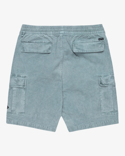 Larry 20" - Elastic Waist Walkshorts for Men  EBYWS00129