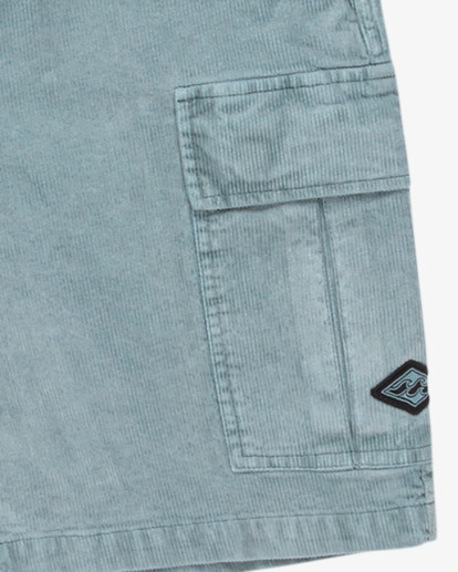 Larry 20"  EBYWS00129