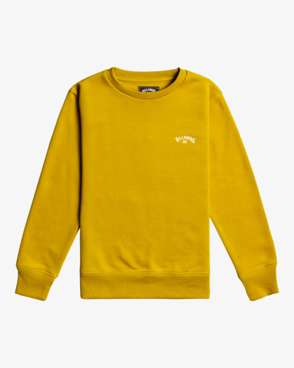 Arch - Sweatshirt for Boys 8 - 14  F2FL07BIF2