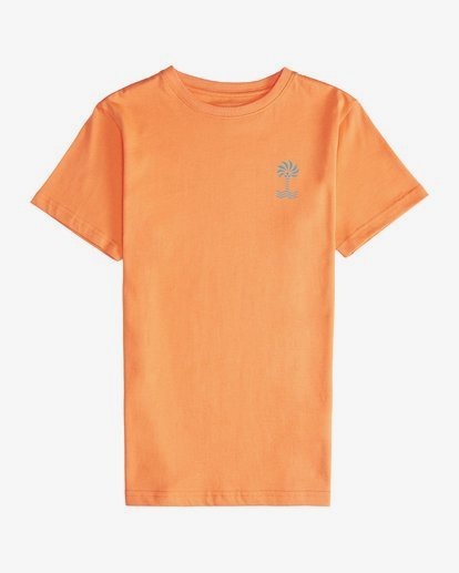 Palm Spin - Short Sleeves Tee Boy for Boys  Q2SS09BIF9