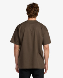 1 Spec 73 Legacy - Short Sleeve T-Shirt for Men Brown 24A013577 Billabong