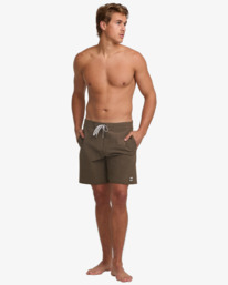 3 Every Other Day 17.5" - Lo Tides Boardshorts for Men Brown 24A081513 Billabong