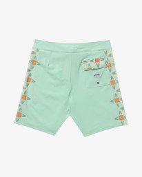 2 Framelines Pro 18.5"- Boardshorts pour homme Vert 24A082500 Billabong