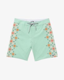 1 Framelines Pro 18.5"- Boardshorts pour homme Vert 24A082500 Billabong