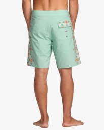 5 Framelines Pro 18.5"- Boardshorts pour homme Vert 24A082500 Billabong