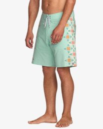 6 Framelines Pro 18.5"- Boardshorts pour homme Vert 24A082500 Billabong