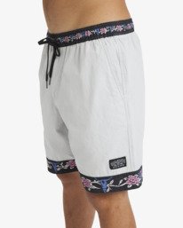 8 Occy Short Larry Grey 24A102500 Billabong