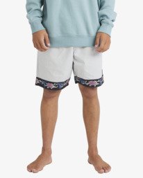 0 Occy Short Larry - Walkshort con vita elastica da uomo Gray 24A102500 Billabong