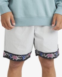 2 Occy Short Larry Grey 24A102500 Billabong