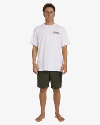 2 Surftrek Cargo Hybrid Blue 24A322501 Billabong