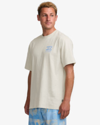 3 Elements - T-Shirt für Männer Weiss 24A351535 Billabong