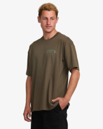 3 Y2K Arch - T-shirt à manches courtes pour Homme Marron 24A351543 Billabong