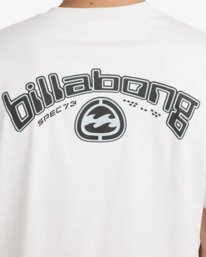 4 Spec 73 Bio Arch Og - T-shirt met korte mouwen voor Heren Gray 24A351670 Billabong