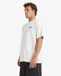 3 Spec 73 Bio Arch Og - T-shirt met korte mouwen voor Heren Gray 24A351670 Billabong