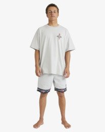 1 Occy Og - Maglietta serigrafata a maniche corte da uomo Gray 24A352531 Billabong