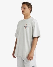 3 Occy Og - Maglietta serigrafata a maniche corte da uomo Gray 24A352531 Billabong