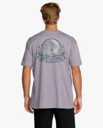 1 Jaybay Premium - Short Sleeve T-Shirt for Men Multi 24A353507 Billabong