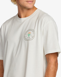 5 Desert Flower Regular - Short Sleeve T-Shirt for Men White 24A353513 Billabong