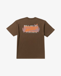 6 Land To Sea Regular - T-Shirt à manches courtes pour Homme Rouge 24A353516 Billabong