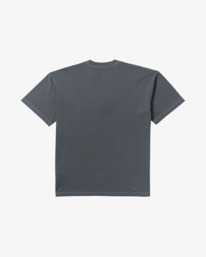 6 Bad Dog Og - T-Shirt für Männer Schwarz 24A353527 Billabong