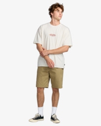 2 Bad Dog Og - T-Shirt à manches courtes pour Homme Beige 24A353527 Billabong