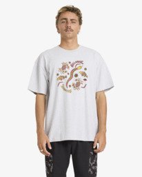 1 Otis Estuary - T-Shirt &agrave; manches courtes pour Homme Gris 24A356182 Billabong