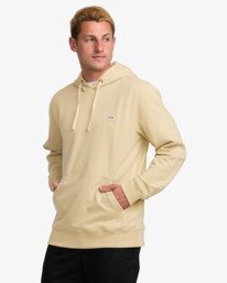 2 ALL DAY PULLOVER Purple 24A411501 Billabong