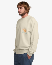 3 Sunshine - Sweatshirt für Männer Beige 24A461504 Billabong