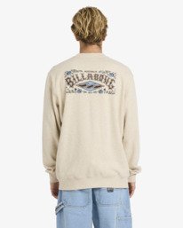 2 Short Sands - Sweatshirt f&uuml;r M&auml;nner Braun 24A461602 Billabong