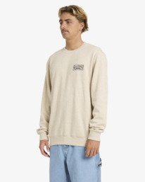 3 Short Sands - Sweatshirt f&uuml;r M&auml;nner Braun 24A461602 Billabong