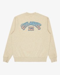 6 Short Sands - Sweatshirt für Männer Braun 24A462503 Billabong