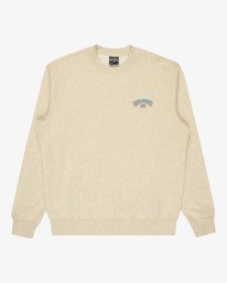 5 Short Sands - Sweatshirt für Männer Braun 24A462503 Billabong